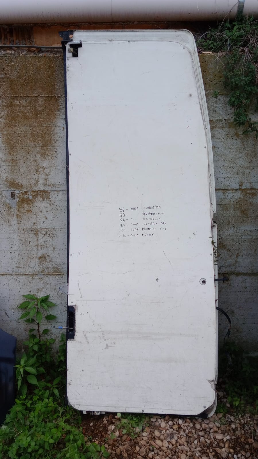 Sportelli Ford Transit