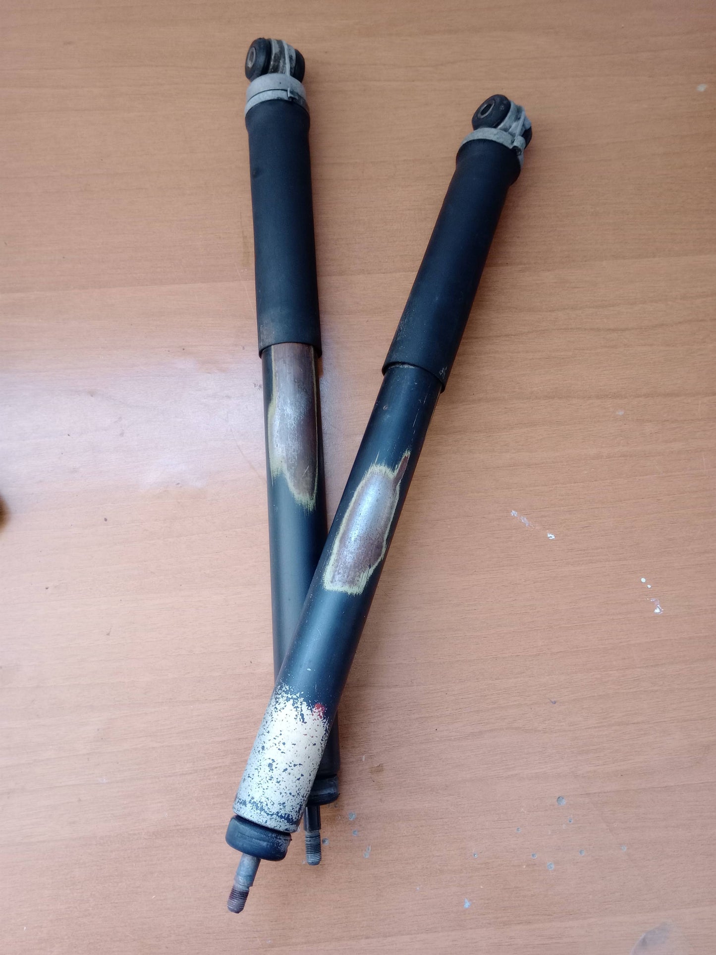 Ammortizzatori gas posteriore (A2013260500)