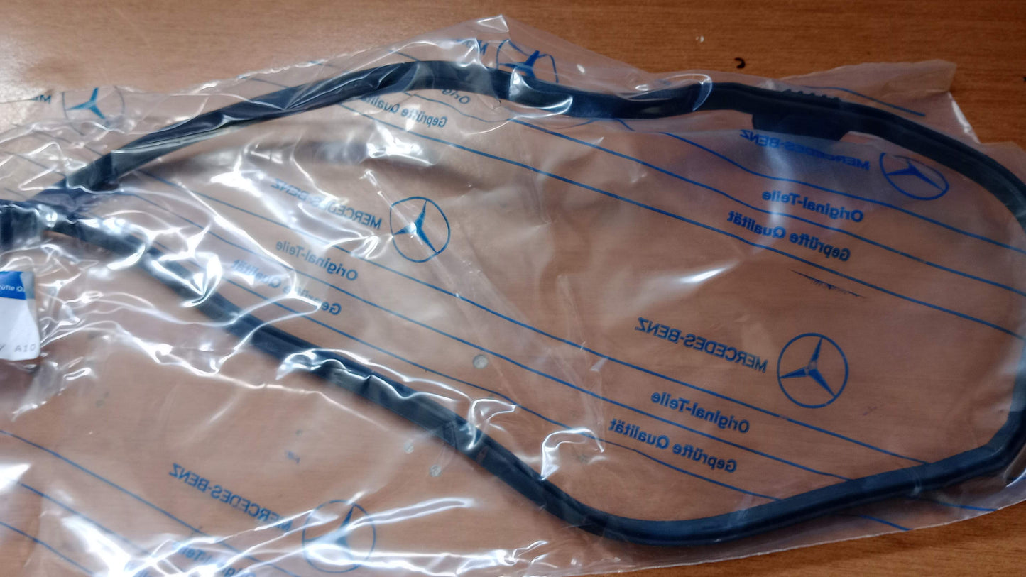 Guarnizione copritestata(A1190160221)