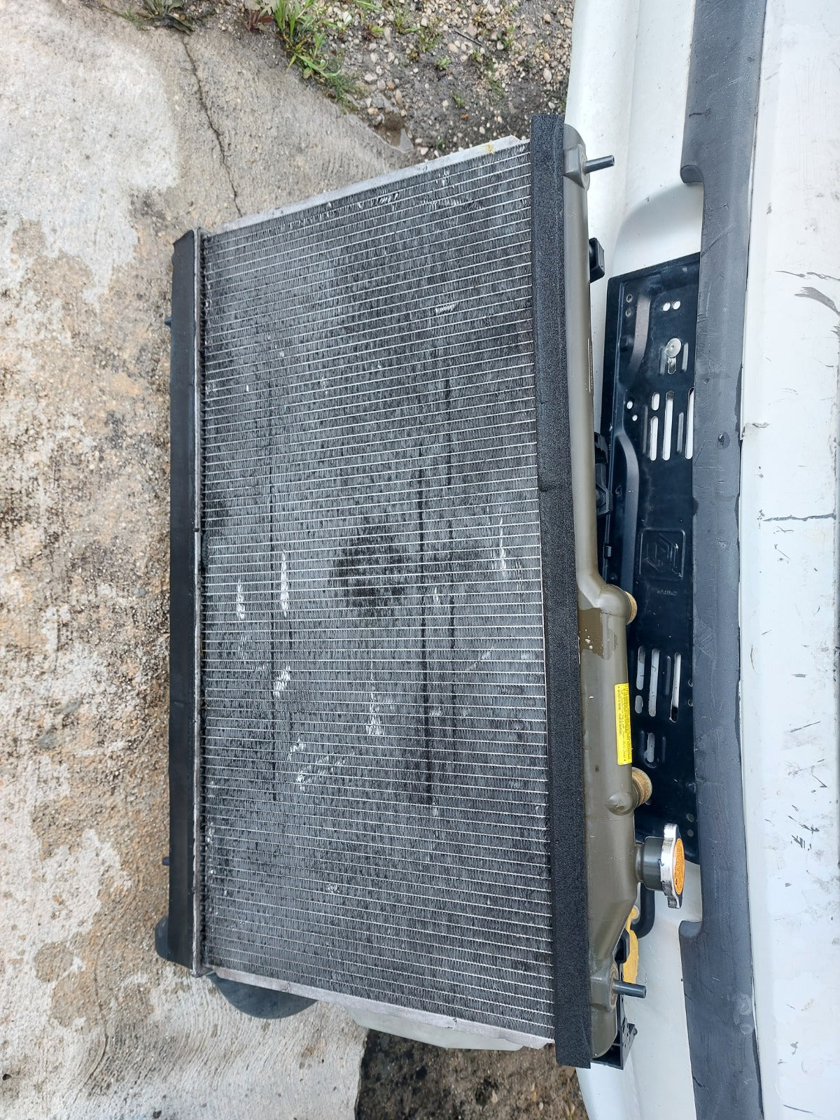 Radiatore Subaru Forester